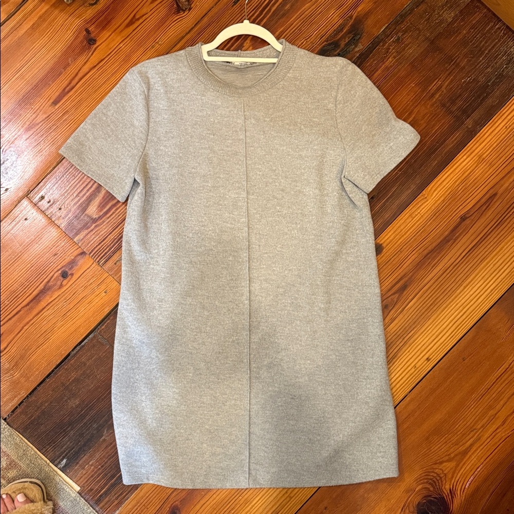 Zara Heather Gray Mini Dress